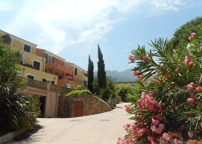 Erbalunga - Les Bosquets - Cap Corse Location